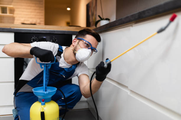 Best Wasp Removal Services  in Pretty Bayou, FL