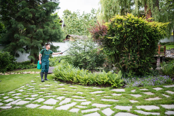 Best Affordable Pest Control Services  in Pretty Bayou, FL
